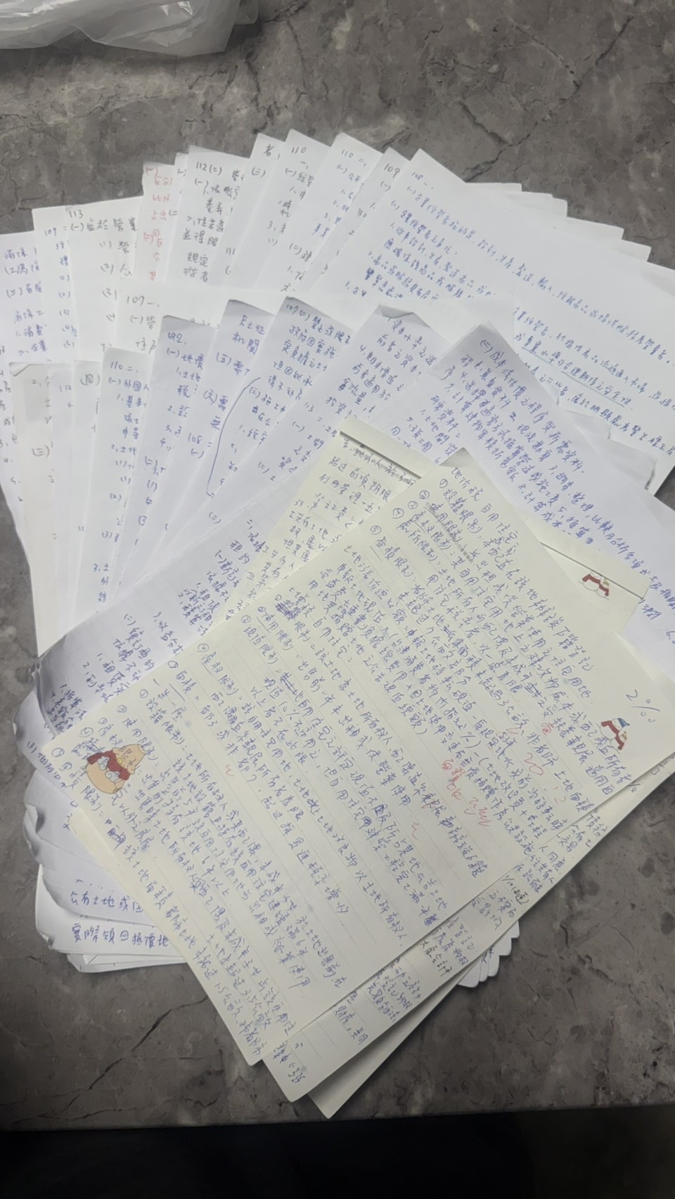 廖○瑄_40幾張正反面不斷演練的申論題